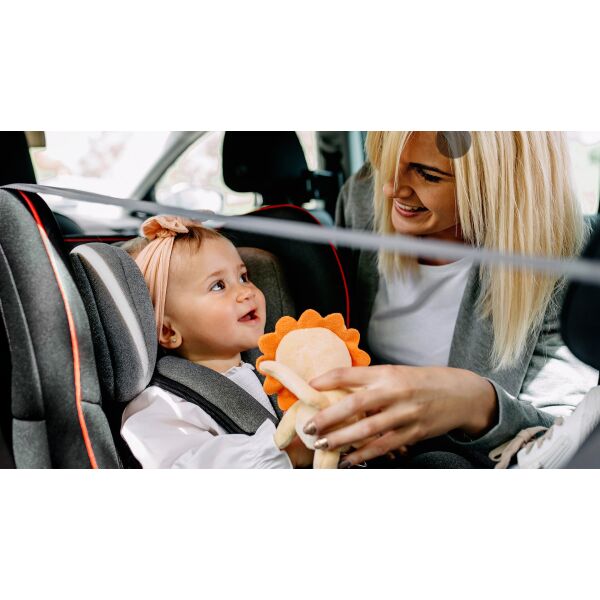 

Детское автокресло LIAM COZY GREY Lionelo до 18 кг