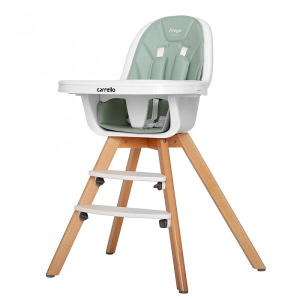 

Стульчик для кормления детей CARRELLO Prego CRL-9504/1 Ash Green