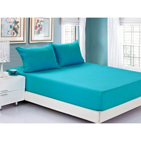 

Постельное белье Ранфорс Летний РЛ307 Leleka-Textile 160х200+25 бирюзовый (228/581)