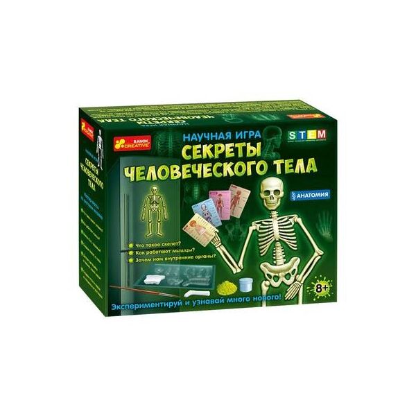 

Анатомия. Скелет человека 12115017Р (2000902100301)