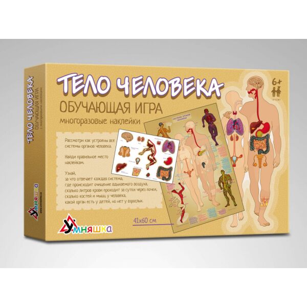 

Игра обучающая УМНЯШКА Тело человека KP-004p
