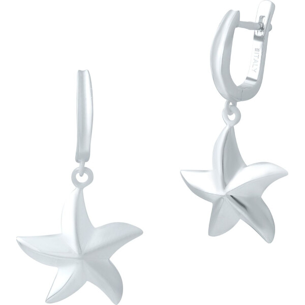 

Серьги из серебра (1643296)