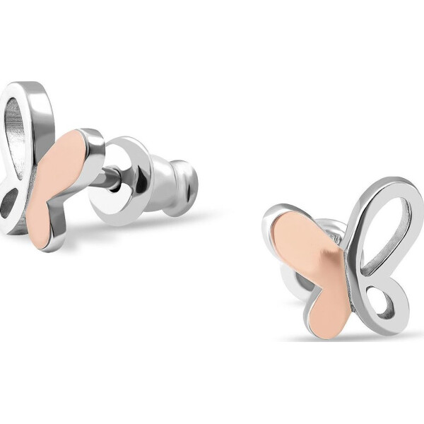 

Серьги из серебра (1677373)