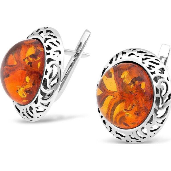 

Серьги из серебра с янтарем (1683460)