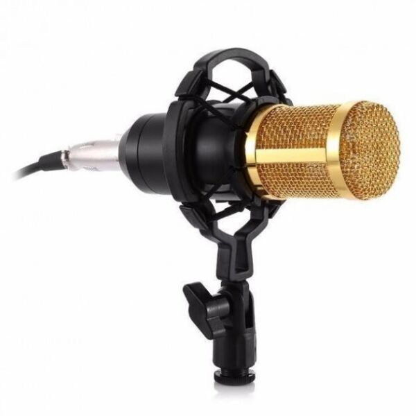 

Микрофон студийный конденсаторный Music D.J. M 800 Black and Gold