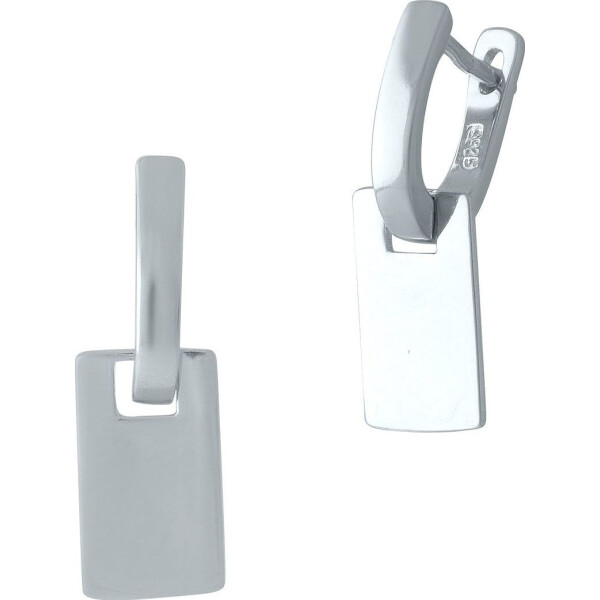 

Серьги из серебра (1697508)