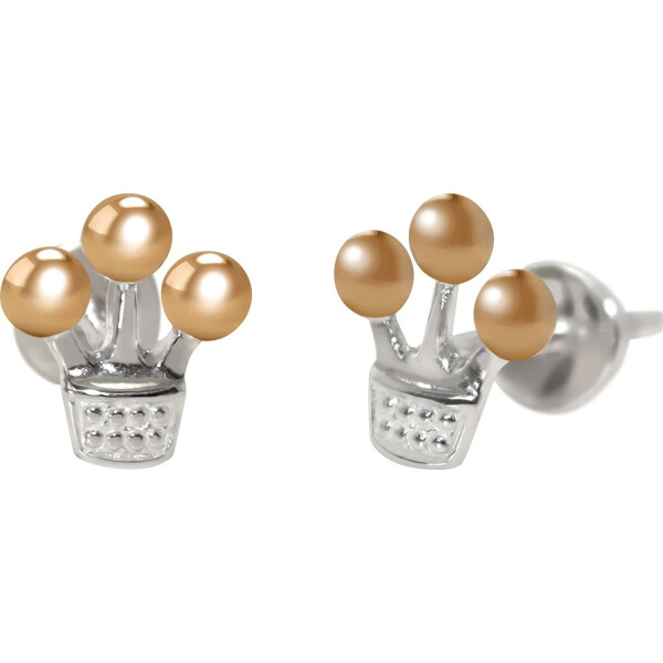 

Серьги из серебра (241343)