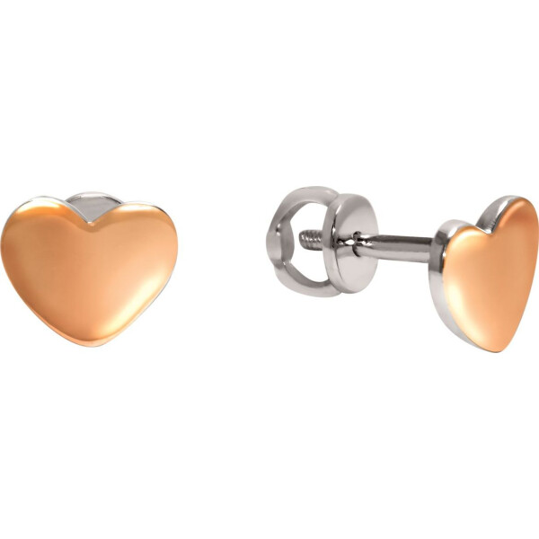 

Серьги из серебра (885318)