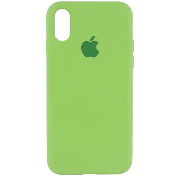 

Чехол Silicone Case Full Protective (AA) для Apple iPhone XR (6.1") Мятный / Mint