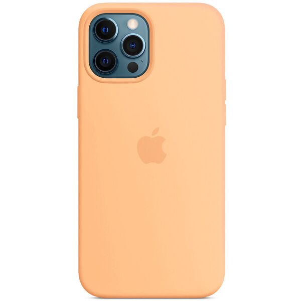 

Чехол Silicone case (AAA) full with Magsafe для Apple iPhone 12 Pro / 12 (6.1")