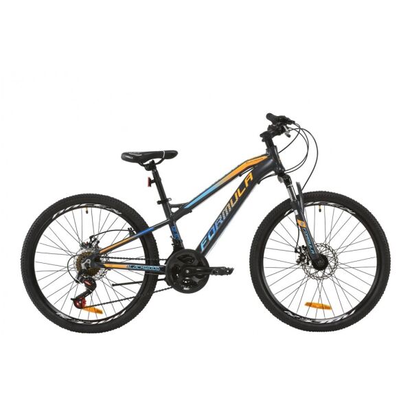 

24" FORMULA BLACKWOOD 2.0 2020, х12,5 Рама, Серый с голубым, ES1132