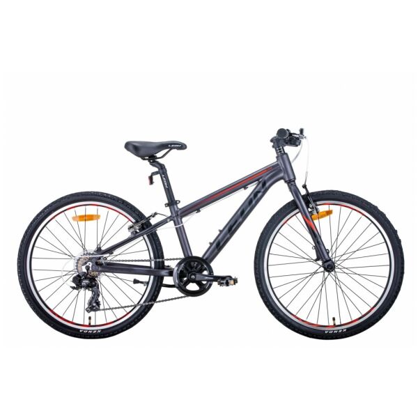 

24" LEON JUNIOR 2021, х12 Рама, Серебристо-черный, ES1139