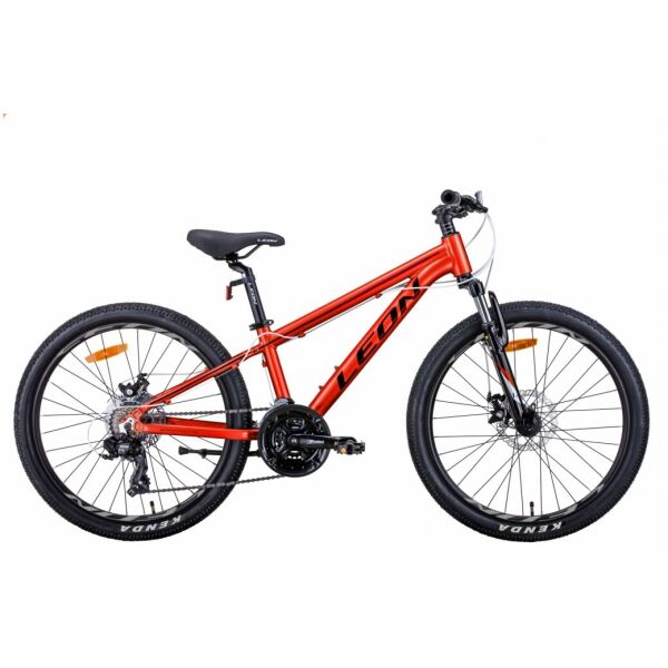

24" LEON JUNIOR AM DD 2021, х15 Рама, Серебристо-черный, ES1141