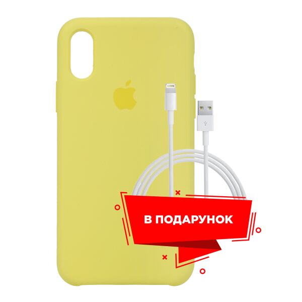 

Чехол для Apple iPhone XS/X Flash + кабель Lightning (ARS53538)