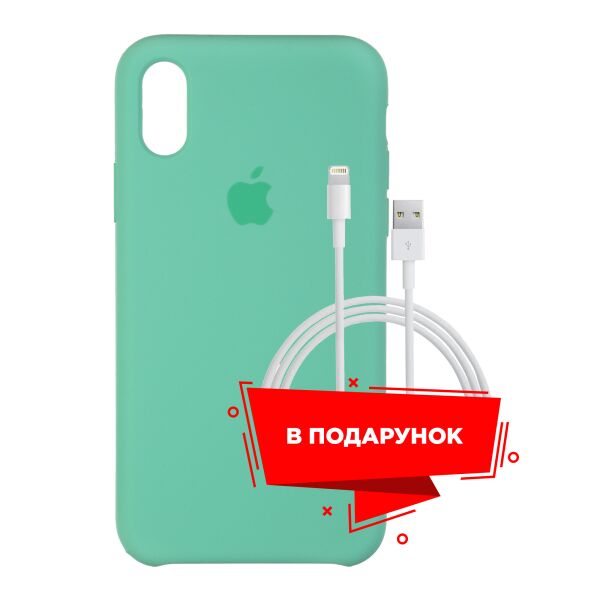

Чехол для Apple iPhone XS/X Spearmint + кабель Lightning (ARS54867)