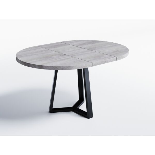 

Обеденный стол раскладной Skandi Wood SW040_R Вайоминг ⌀ 120 см (+350) х 120 х 76 см Массив Ясень Серый (SW040_R121276GrarrAsh)