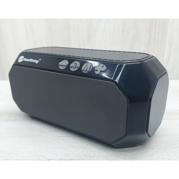 

Колонка NewRixing NR-4000