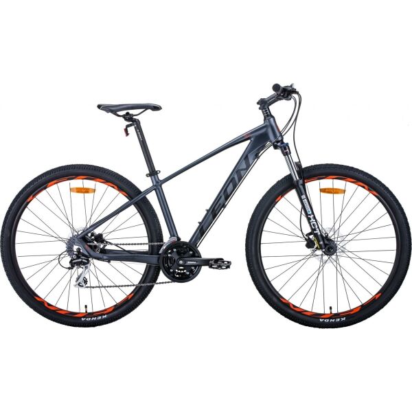 

29" LEON TN-80 2021, Рама х17,5, Графитовый, ES1327