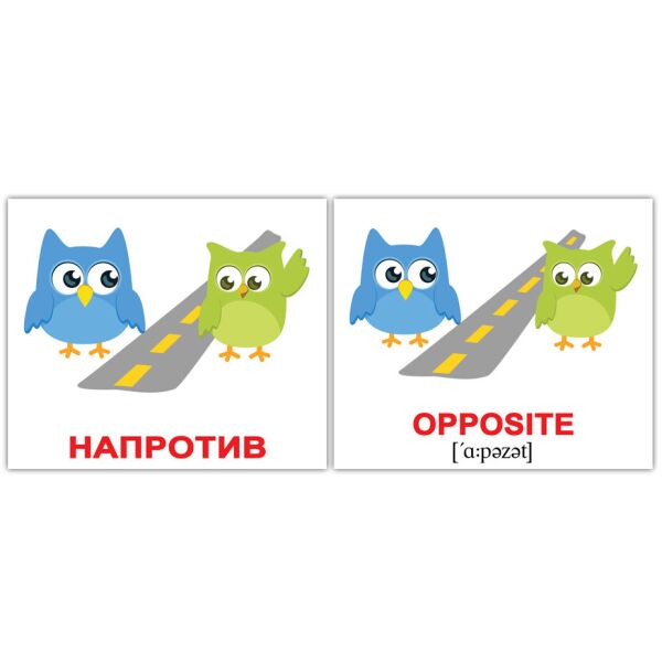 

Карточки мини русско-английские Активности/Activities(676322)