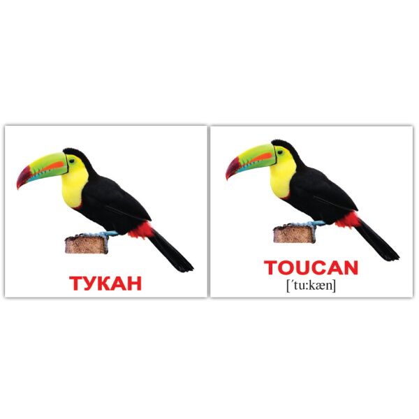 

Карточки мини русско-английские Птицы/ Birds 40 карт.(445316)