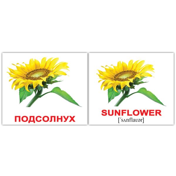 

Карточки мини Цветы/Flowers 20шт(476328)