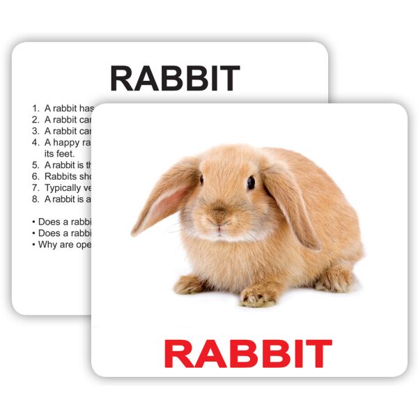 

Карточки большие Pets and farm animals with facts, 30шт(970321)