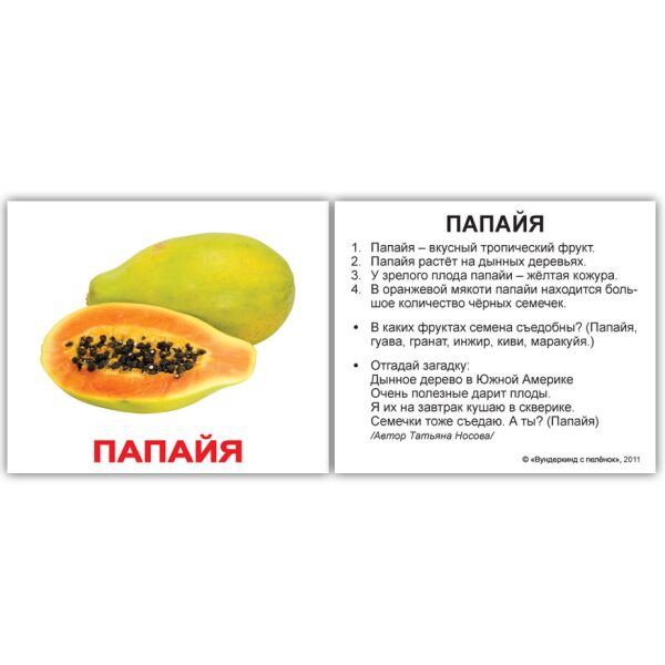 

Карточки мини русские с фактами Фрукты 40 карточек(095627)
