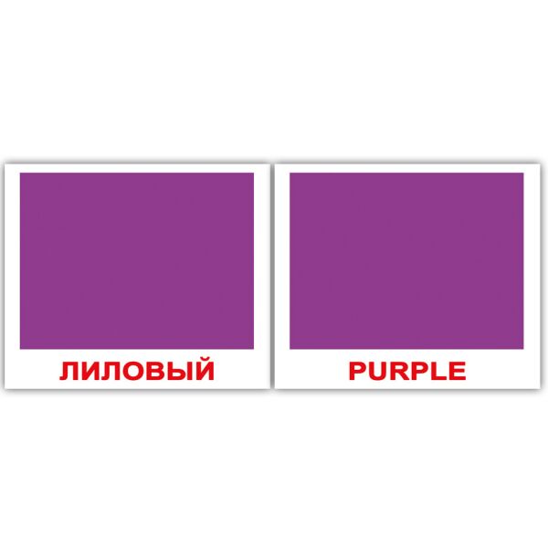 

Карточки мини русско-английские Цвета/Colors 40 карт.(096716)