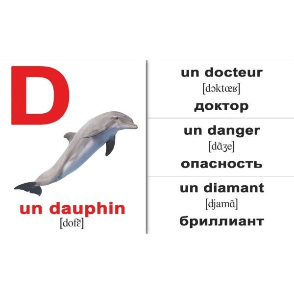 

Карточки мини русско-французские Алфавит/L'alphabet Francais(255519)