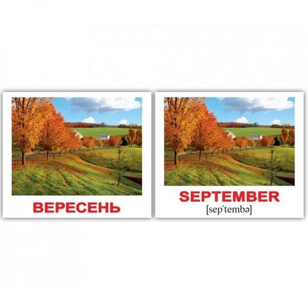 

Карточки мини украинско-английские Пори року/Seasons 40шт.(283512)