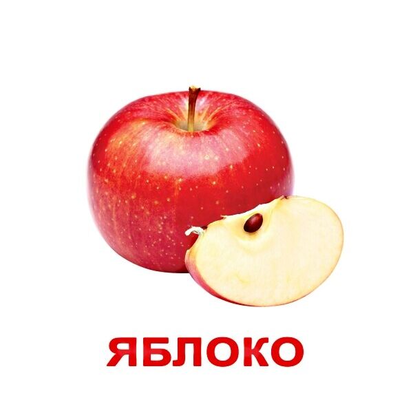 

Карточки большие русские с фактами «Мои первые знания» 40шт(096334)