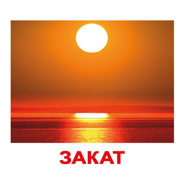 

Карточки большие русские с фактами, ламинированные Природа(094453)