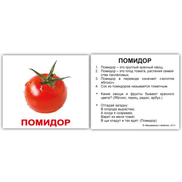 

Карточки мини русские с фактами «Овощи» 40 карточек(095634)