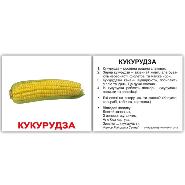 

Карточки мини украинские с фактами Овочі 40шт.(096631)