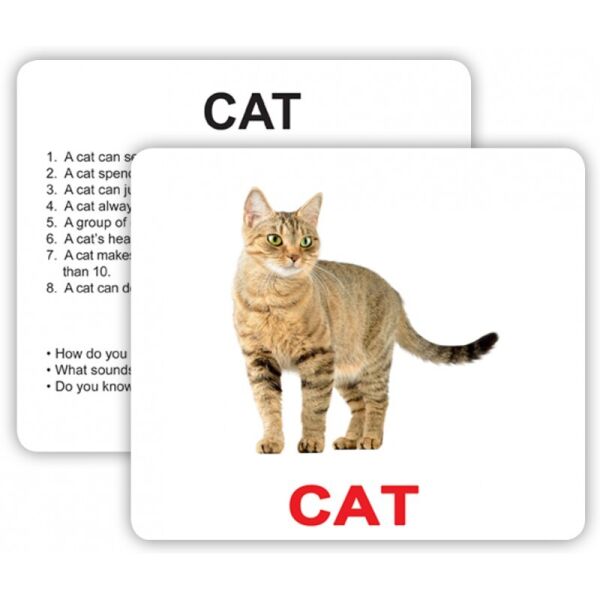 

Карточки большие Pets and farm animals with facts, 30шт(970329)