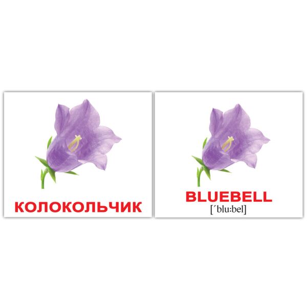 

Карточки мини русско-английские Предлоги/Prepositions(376321)