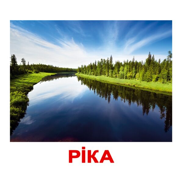 

Карточки большие украинские с фактами «Природа» 20шт.(096068)