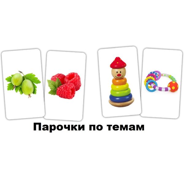 

Карточки Игры-парочки «Парочки по темам» 15 пар карт.(275615)