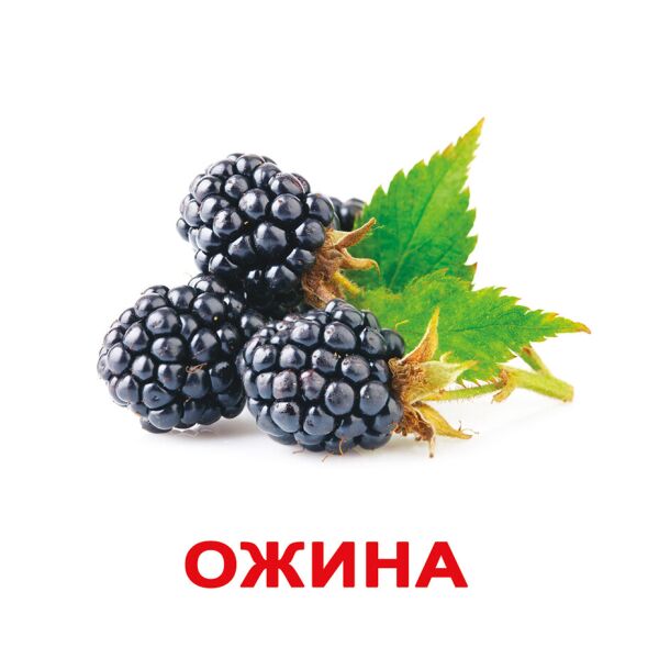 

Карточки большие украинские с фактами «Ягоди» 20 карточек(097041)