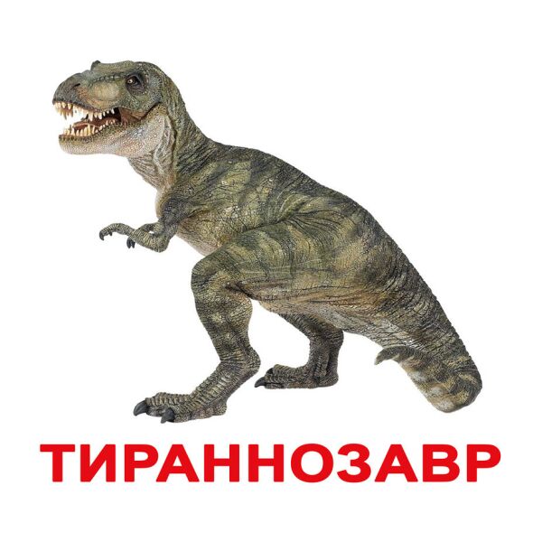 

Карточки большие русские с фактами, ламинированные Динозавры(165313)