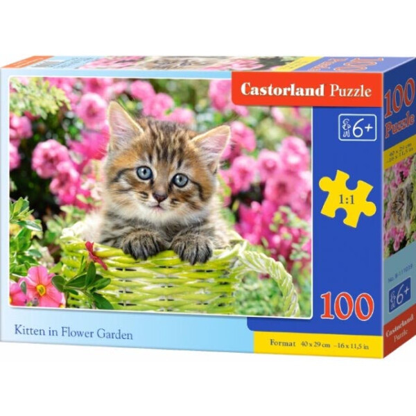 

Пазлы Castorland Котенок В-111039 100 элементов (53059)