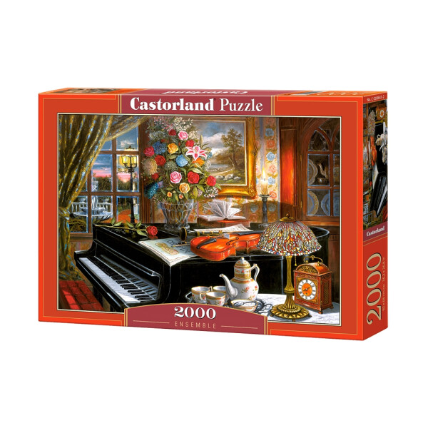 

Пазлы Castorland "Дом музыканта" С-200641 2000 элементов (38289)