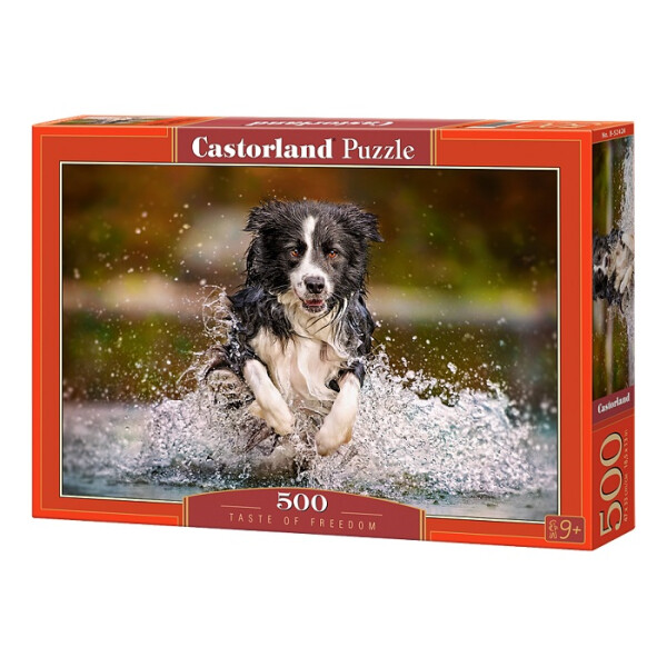 

Пазлы Castorland "Чувство свободы" В-52424 500 элементов (34525)