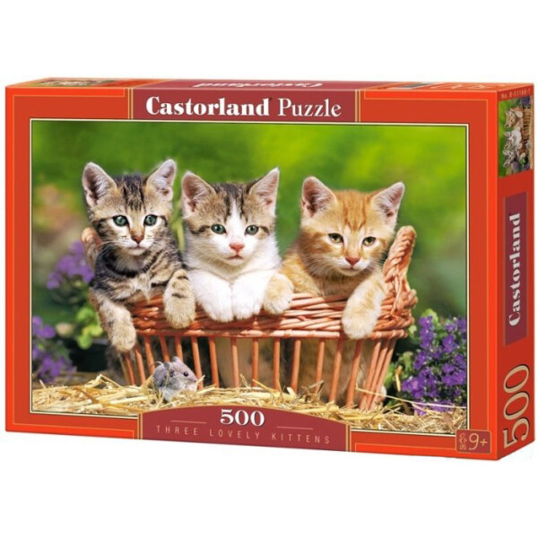 

Пазлы Castorland "Три котенка" В-51168 500 элементов (24409)