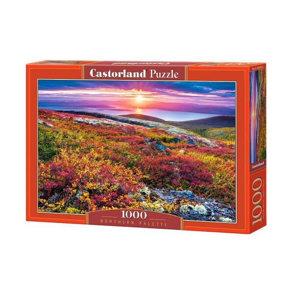 

Пазл Castorland Цветущее поле 1000 эл С-103539 (tsi_33808)