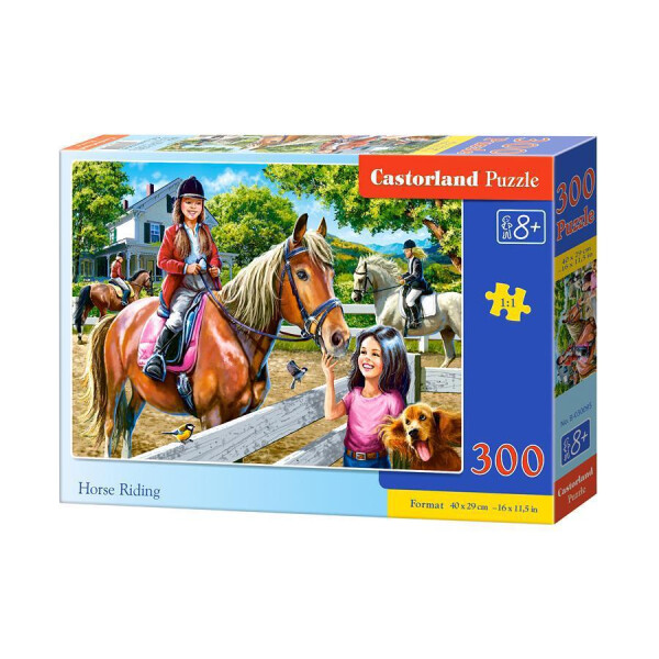 

Пазл Castorland Прогулка на лошади 300 деталей 095 (tsi_25271)