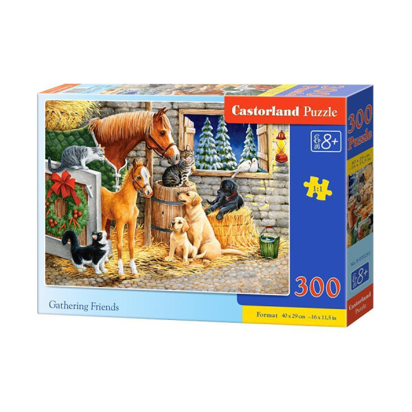 

Пазл Castorland Встреча друзей 300 элементов В-030255 (tsi_38224)
