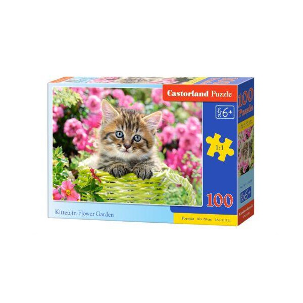 

Пазл Castorland Котенок 100 элементов В-111039 (tsi_53059)