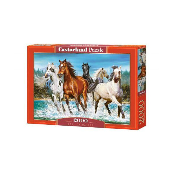 

Пазл Castorland Табун лошадей 2000 элементов С-200702 (tsi_55016)