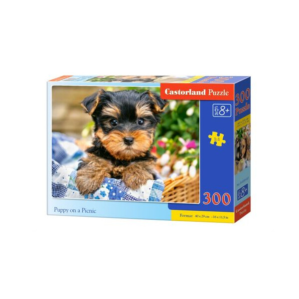 

Пазлы Castorland Щенок на пикнике 300 элементов (TOY-31777)